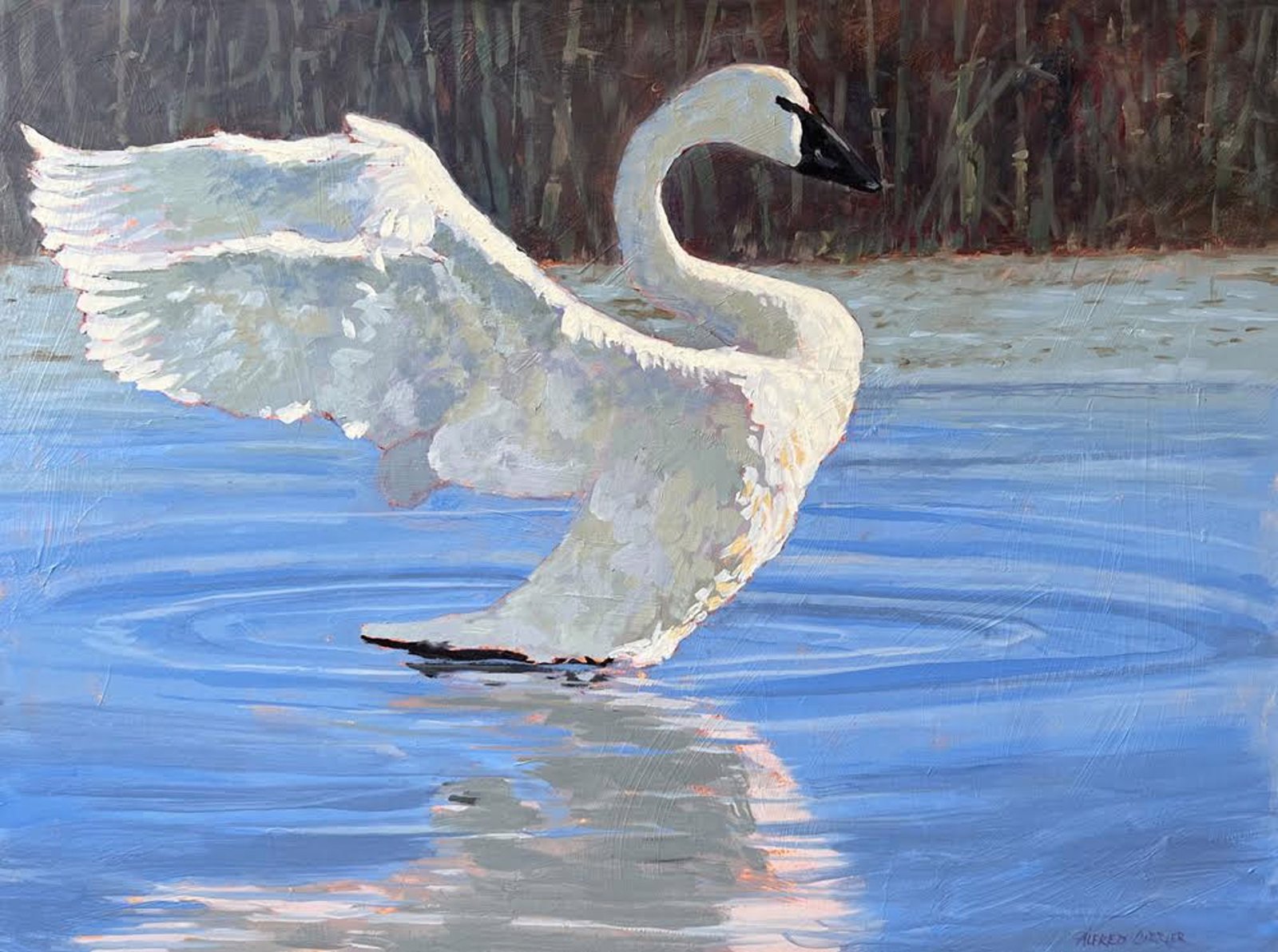 Take Off by Alfred Currier by Alfred Currier