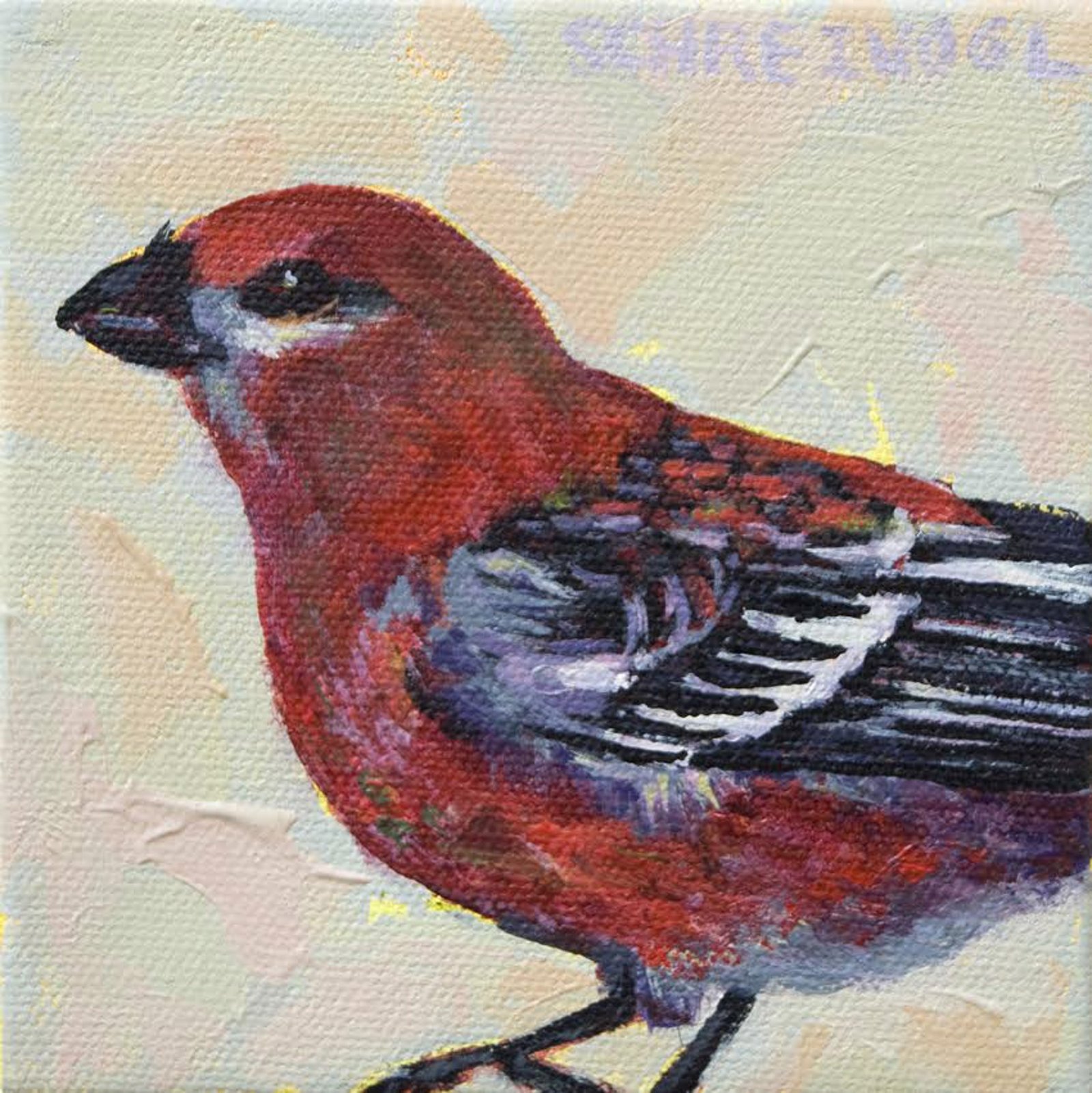 Pine Grosbeak by Anne Schreivogl by Anne Schreivogl