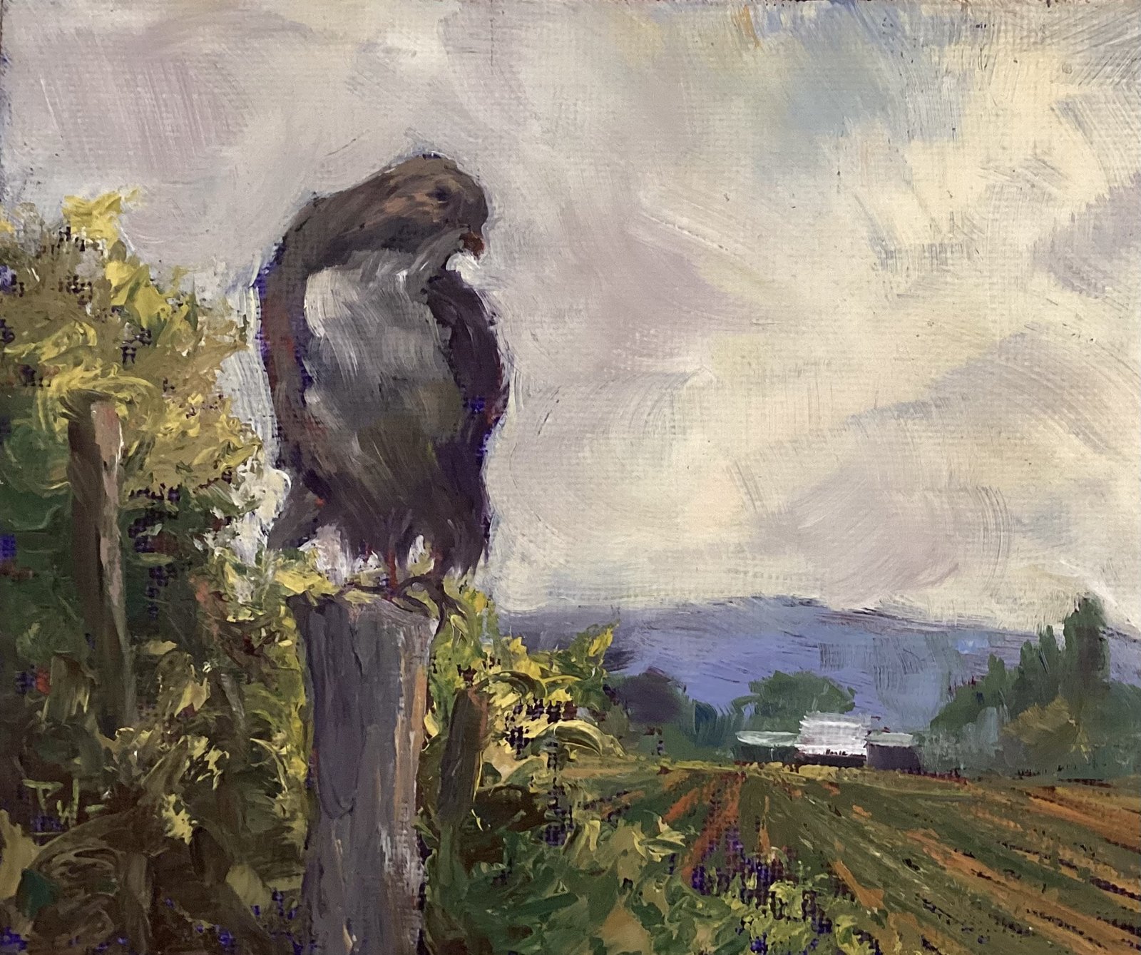 Pamela Wachtler — Balancing Act