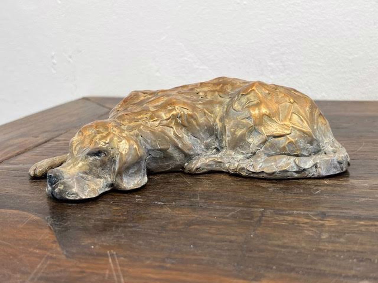Snoozing Golden by Barbara Duzan by Barbara Duzan