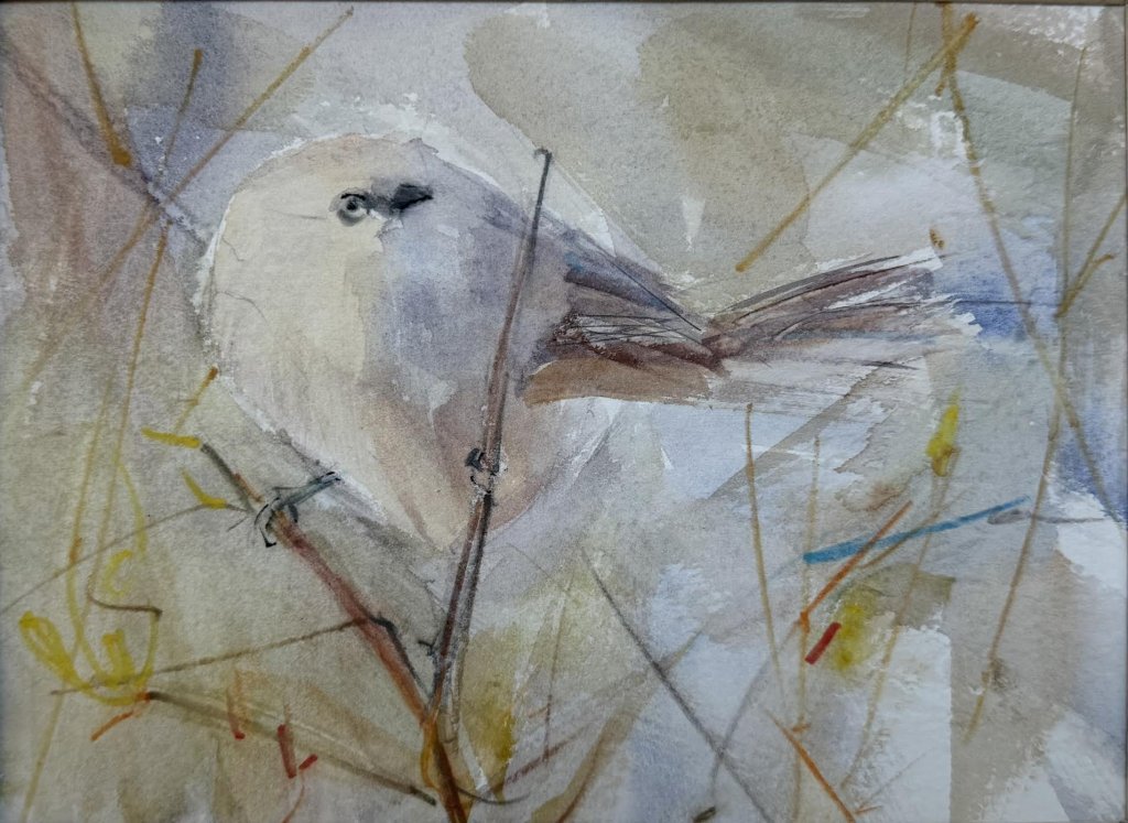 Bushtit 2 by Randena Walsh