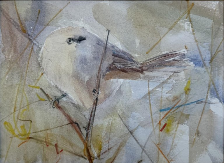 Bushtit 2 by Randena Walsh