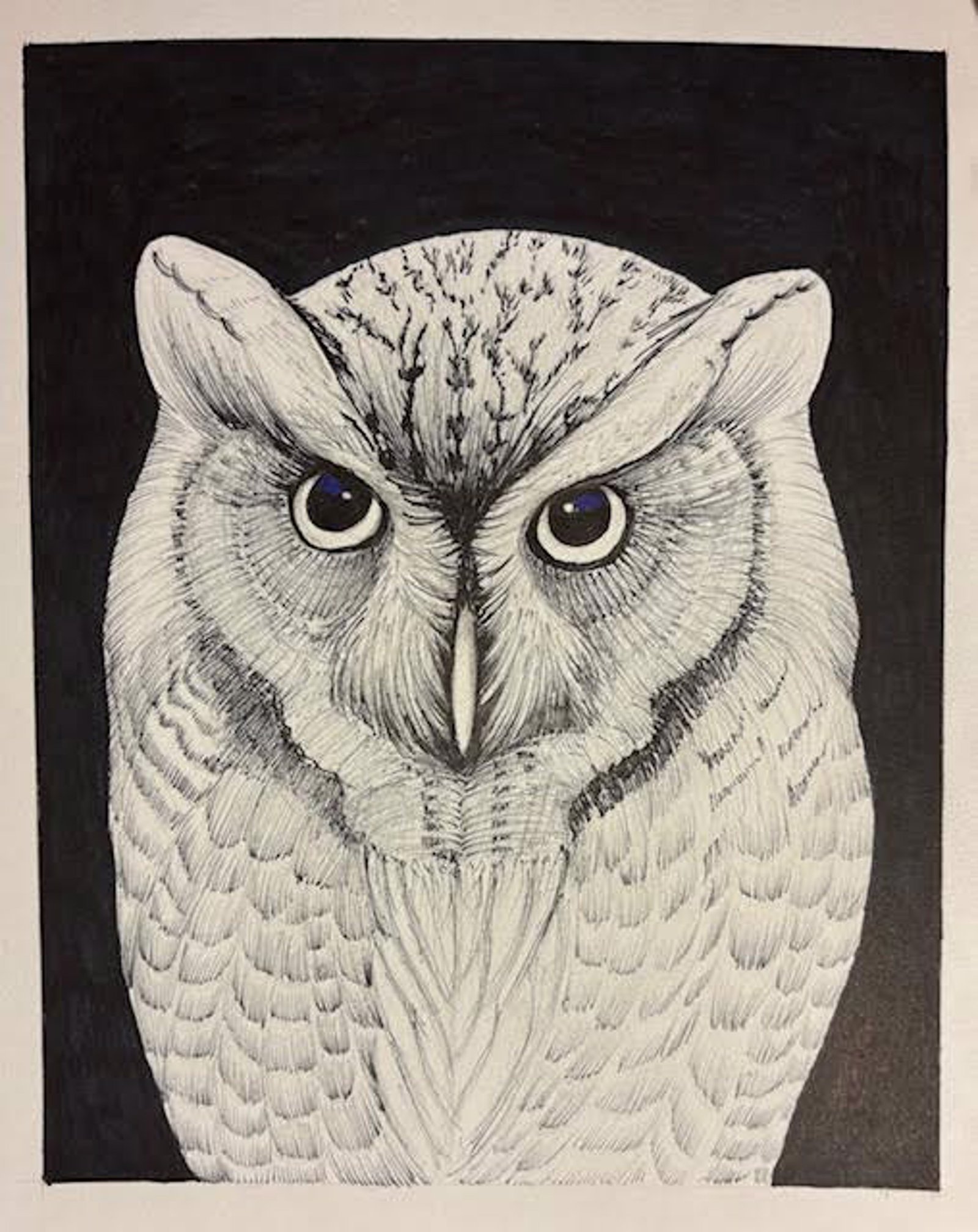 Owl by Fumi Matsumoto by Fumi Matsumoto