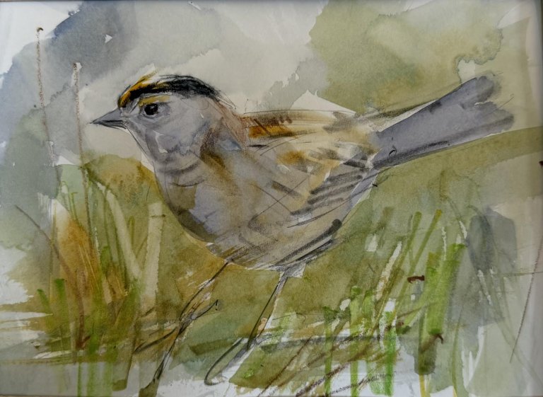 Golden-Crowned Sparrow 3 by Randena Walsh