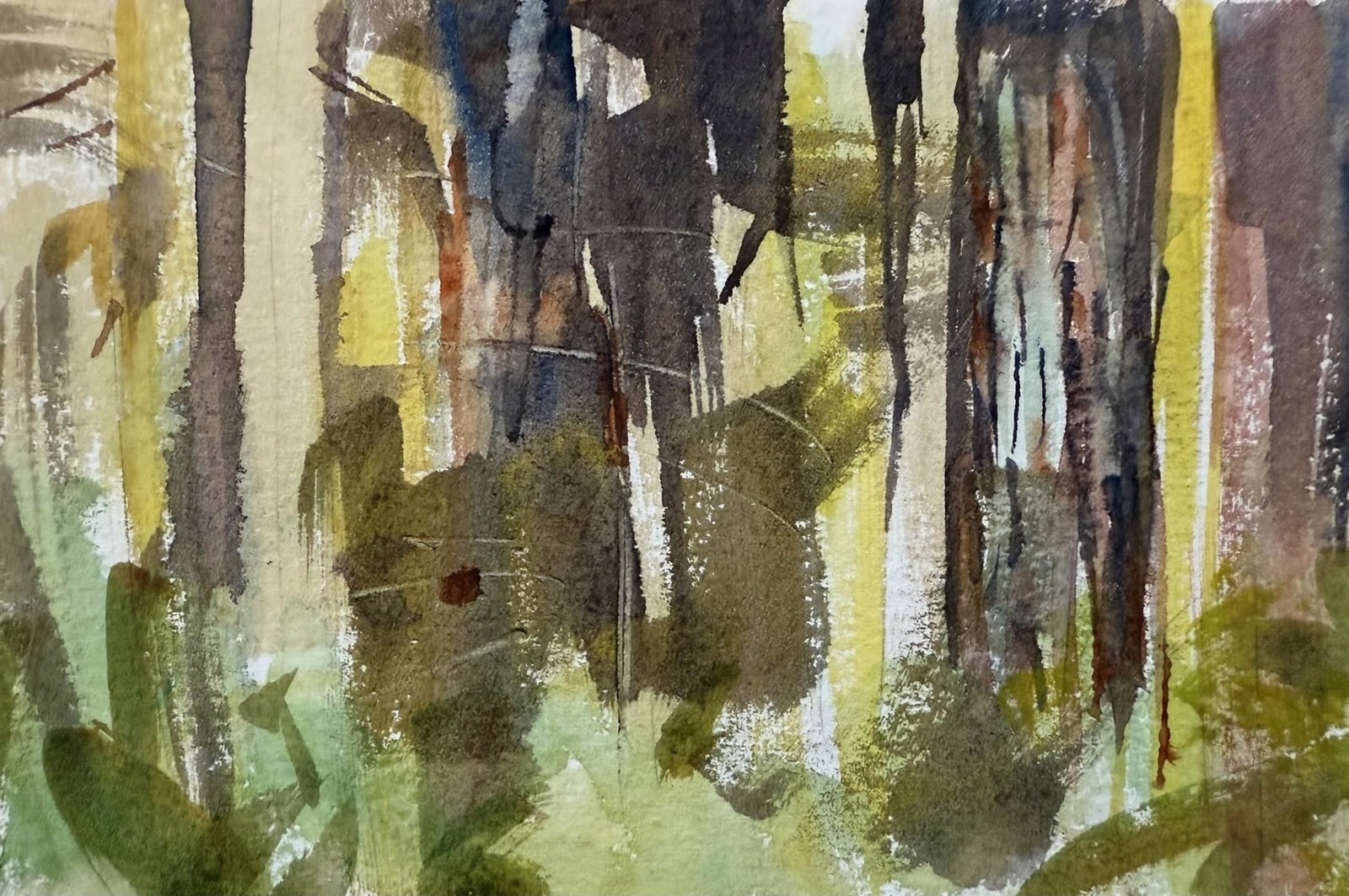 Grand Fir Trunks by Randena Walsh by Randena Walsh