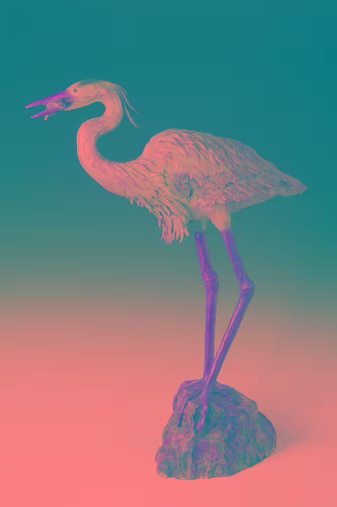 Heron by Barbara Duzan by Barbara Duzan