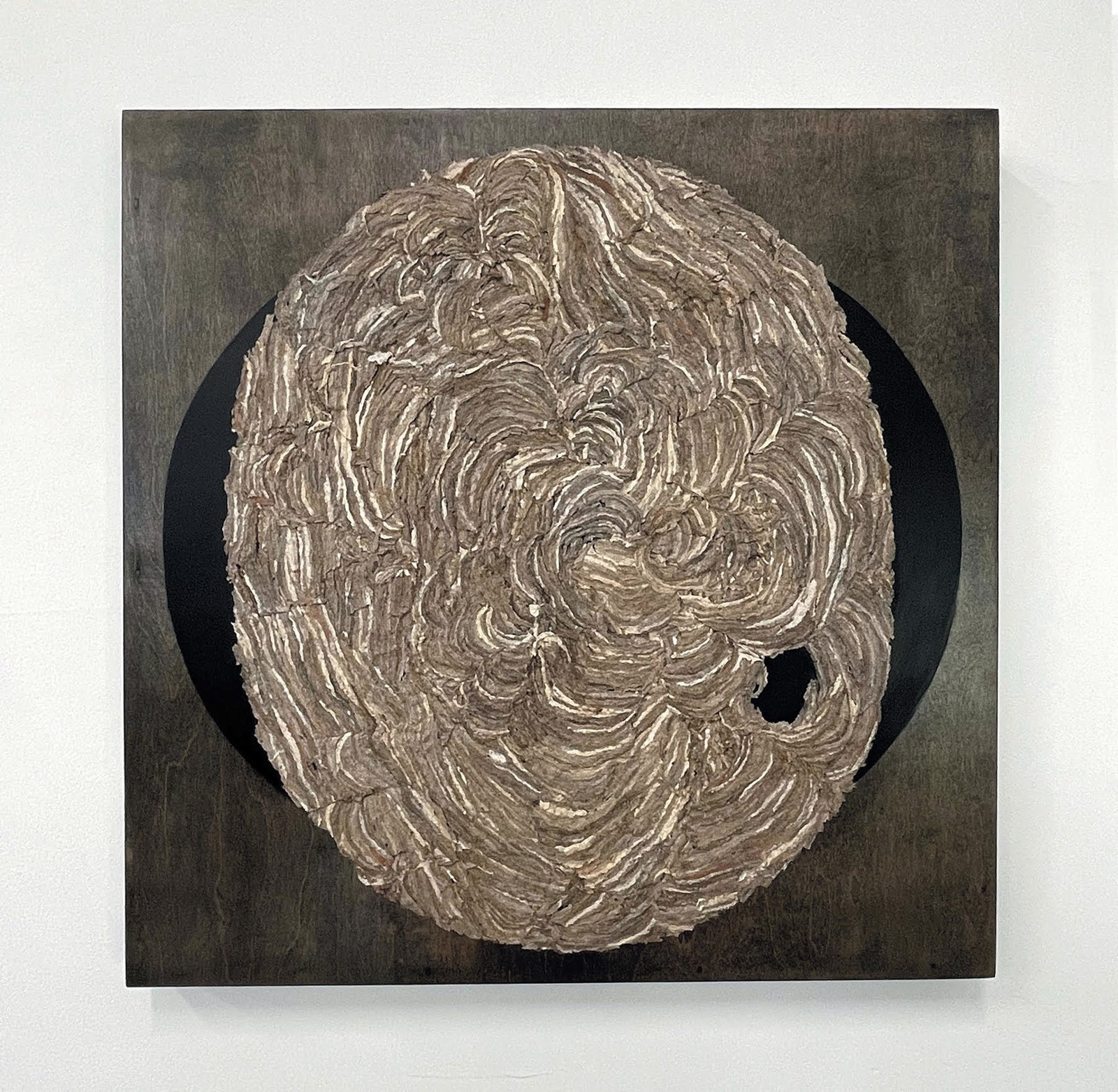 Ellipse by Julie Ann Man
