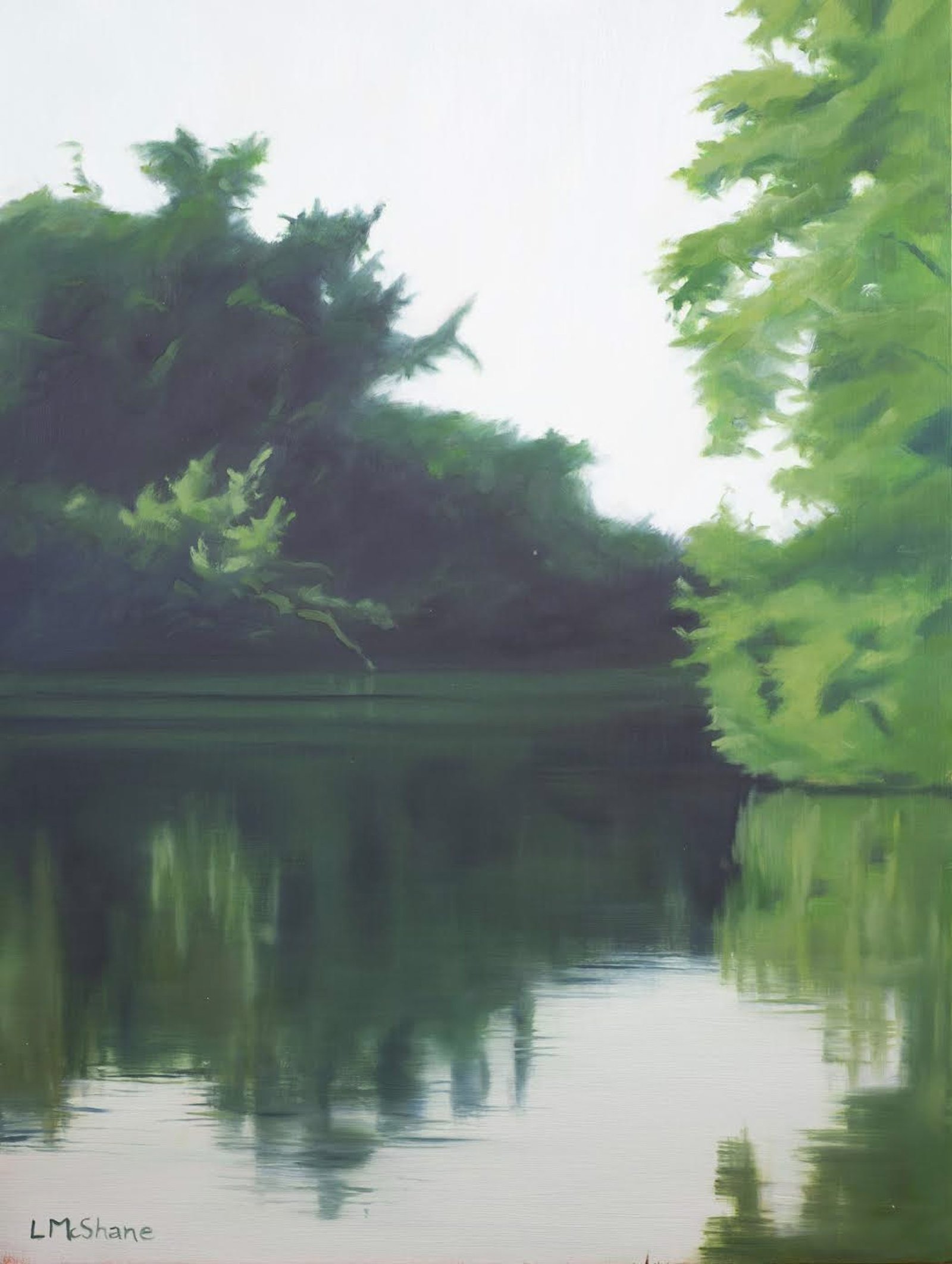 Flooded River by  Lisa McShane