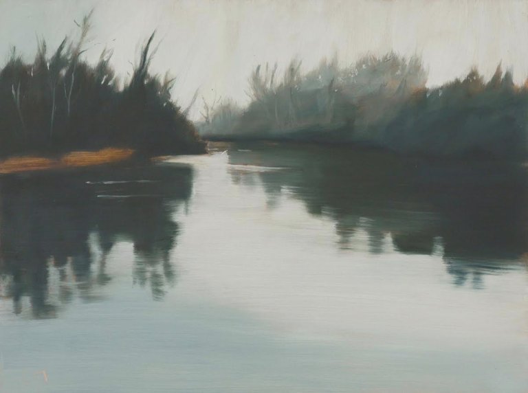 Foggy Delta by  Lisa McShane