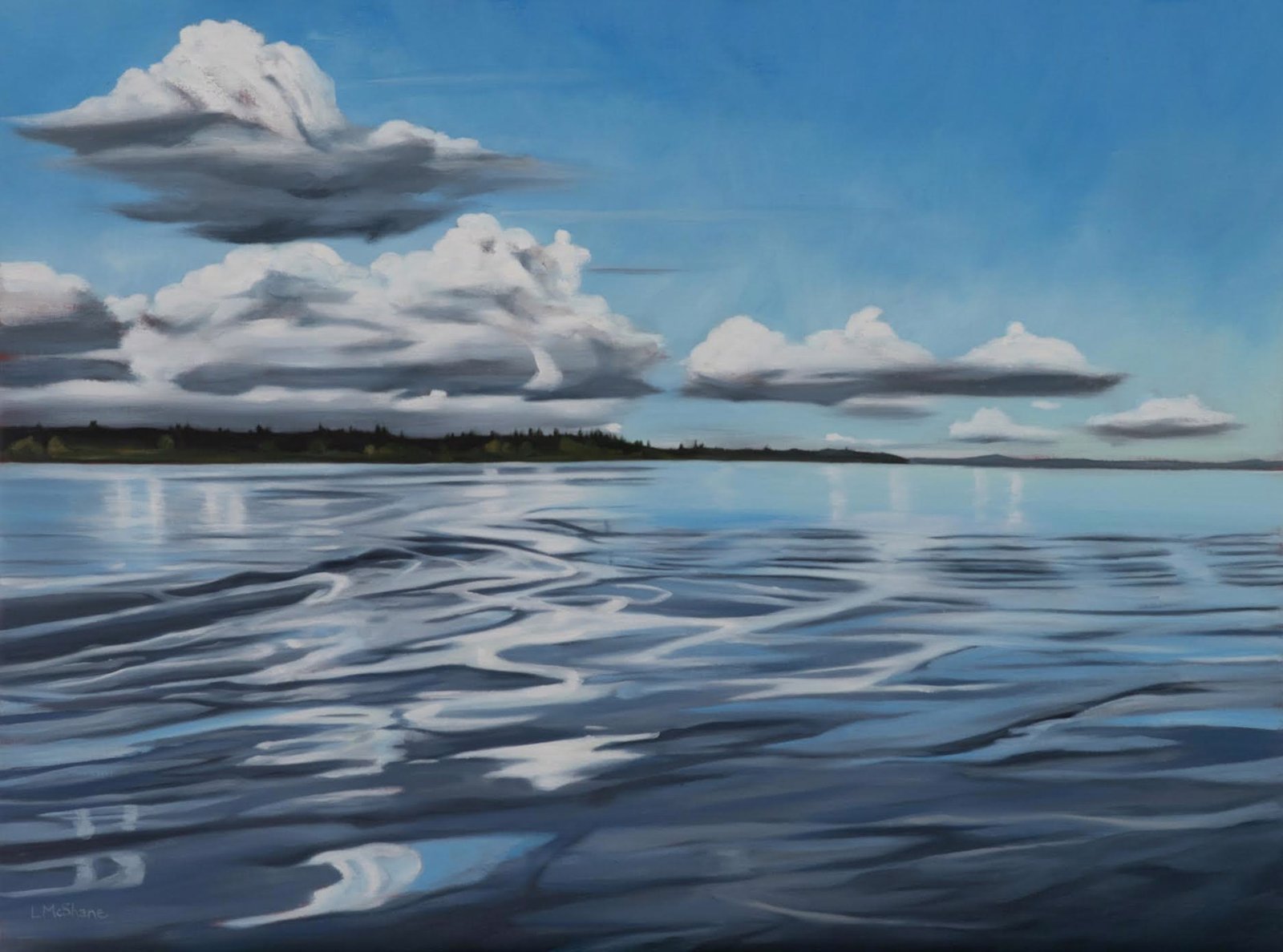 Reflections on The Point by  Lisa McShane by Lisa McShane