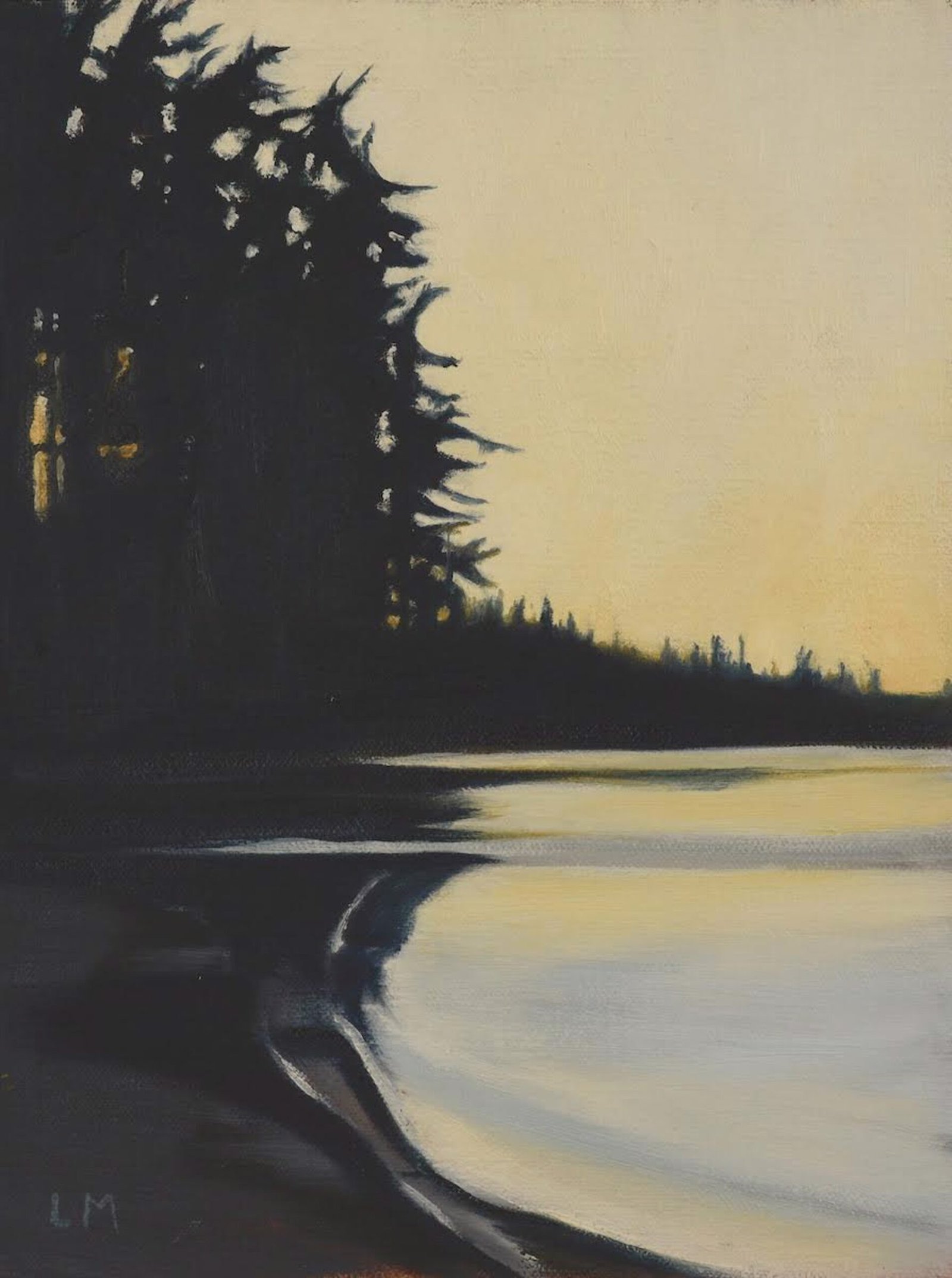 Island Edge by  Lisa McShane