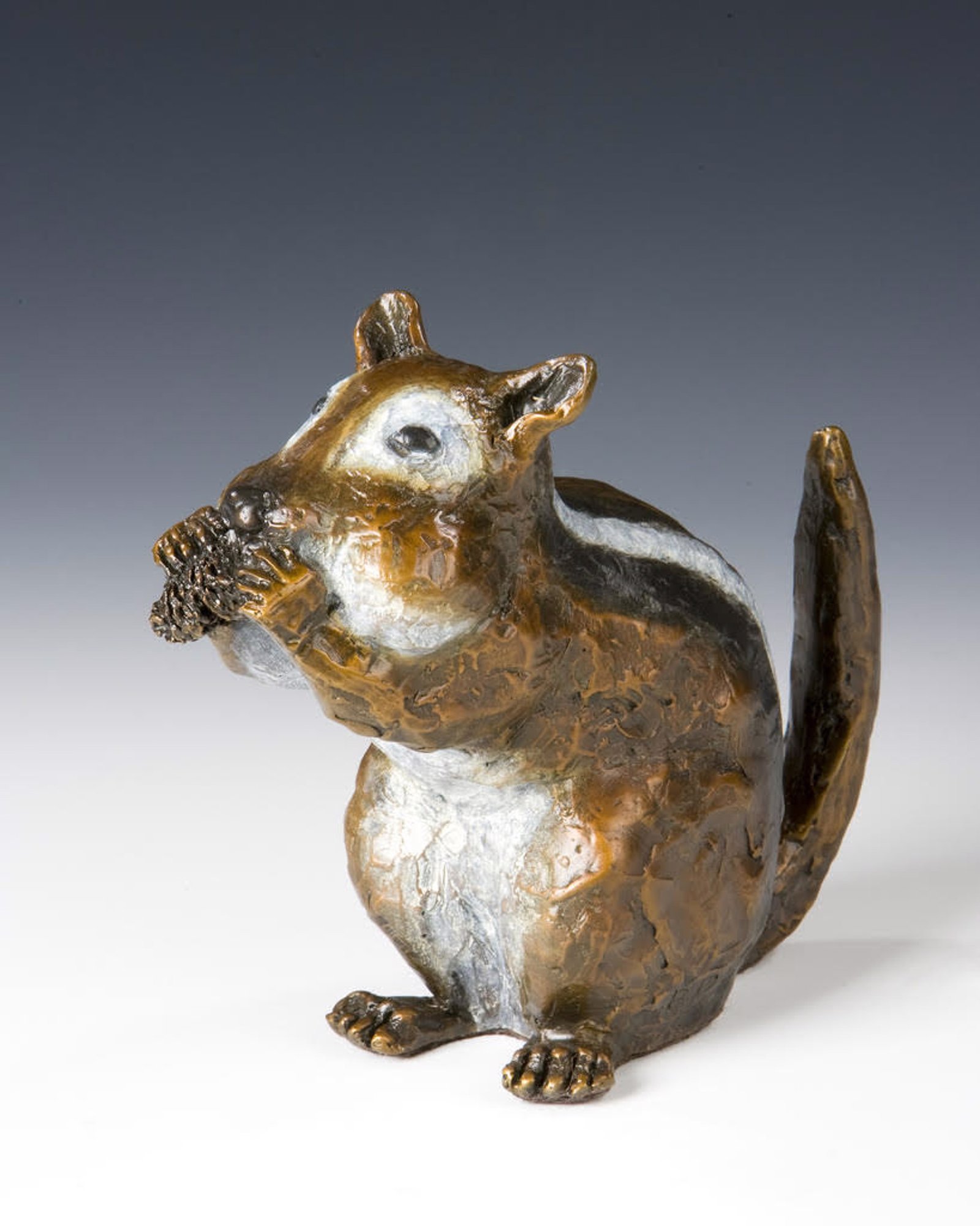 Ground Squirrel by Barbara Duzan by Barbara Duzan