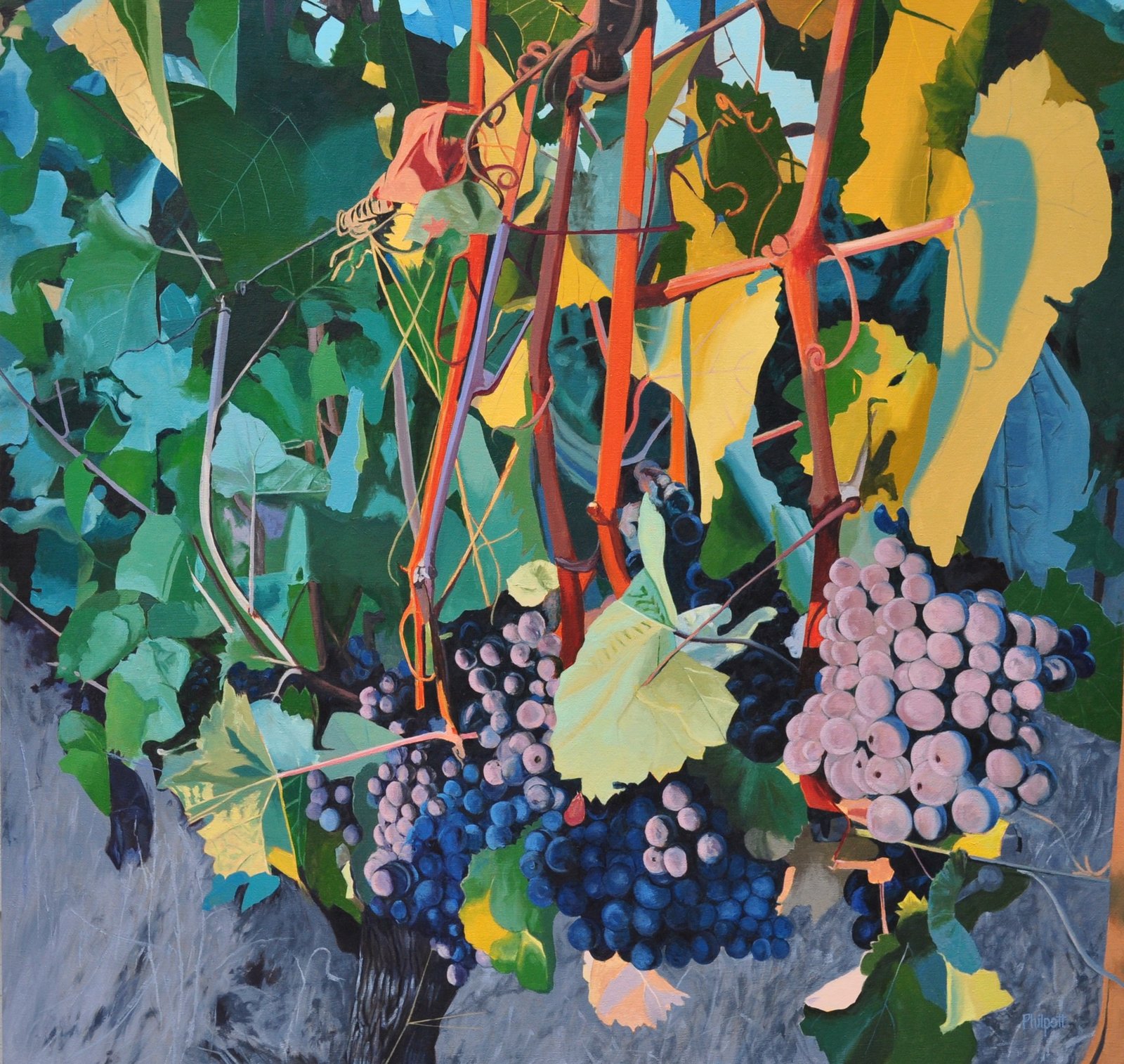 Morning Color by Neal Philpott