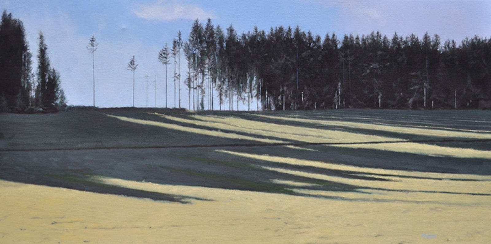 Pasture Twins by Neal Philpott by Neal Philpott