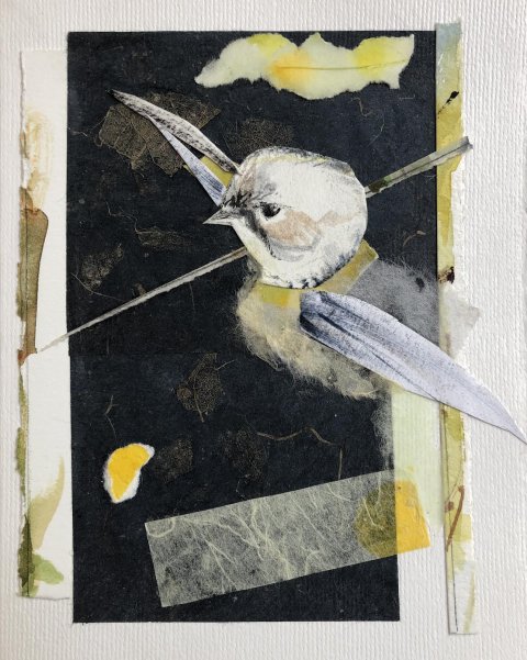 Night Flight by Randena Walsh