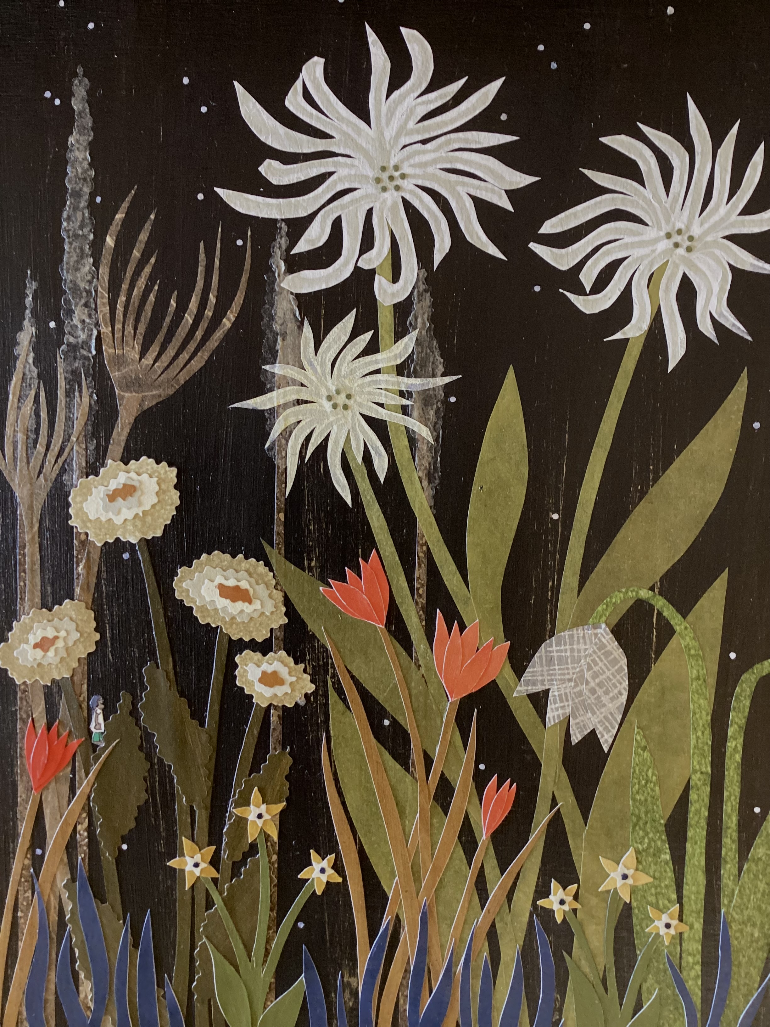 Powdered With Stars by Amy Ferron