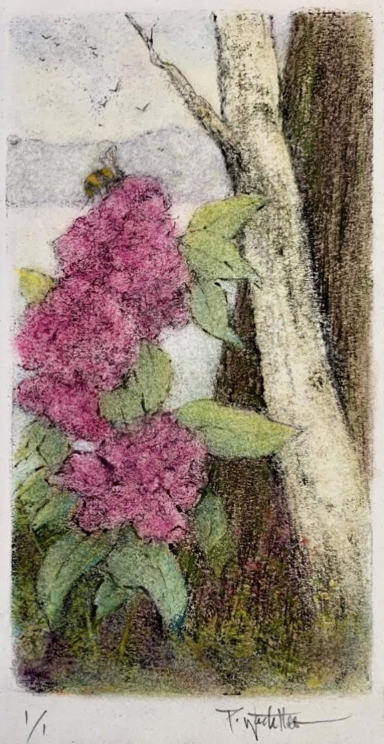 Citizens Of Sweetness — Pamela Wachtler — Hand-colored etching or engraving