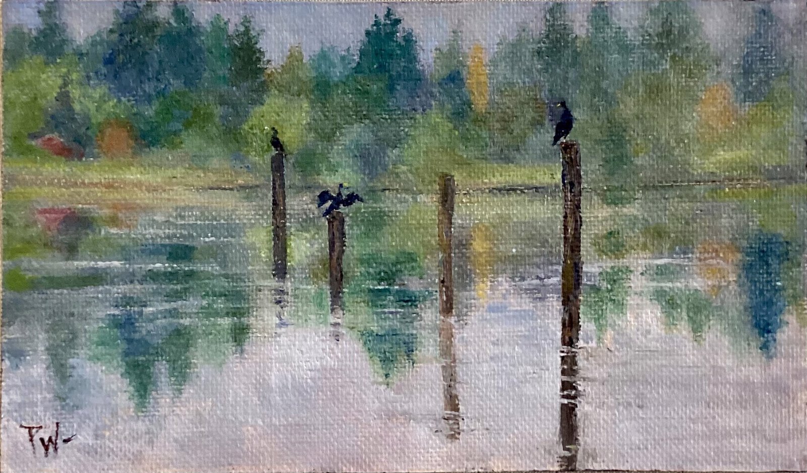 Perched on Eagle Harbor by Pamela Wachtler by Pamela Wachtler