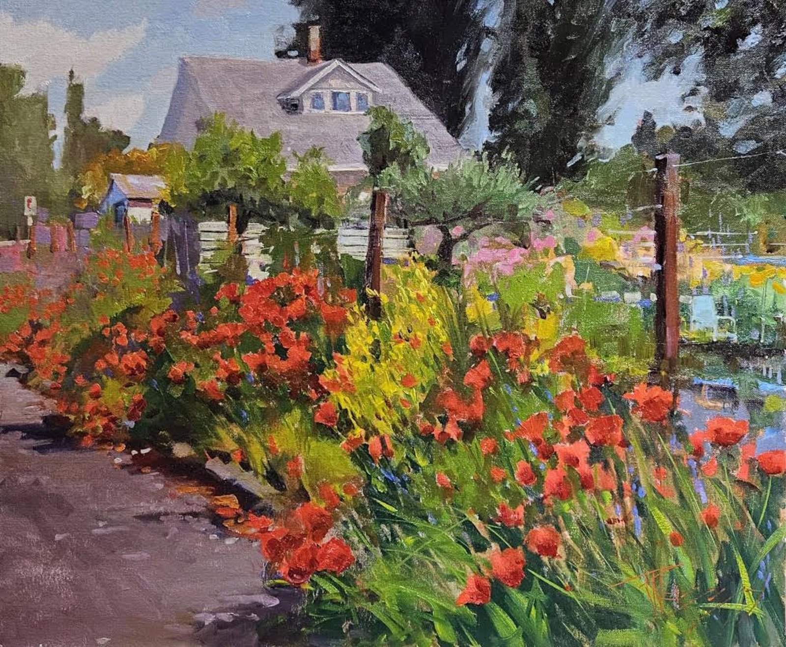 Garden Poppies by Robin Paul Weiss by Robin Weiss