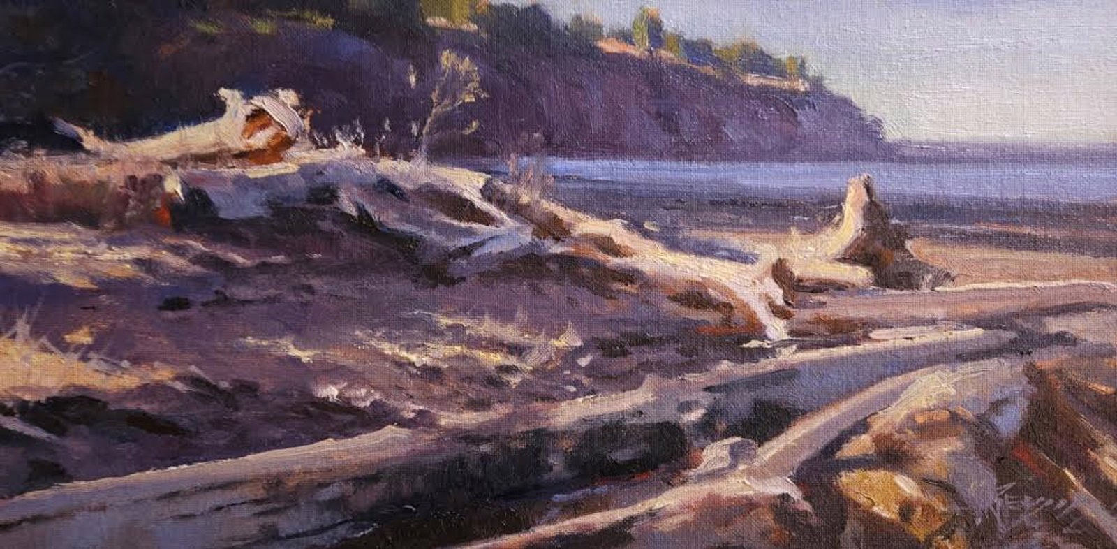 Peninsula Drift by Robin Paul Weiss by Robin Weiss