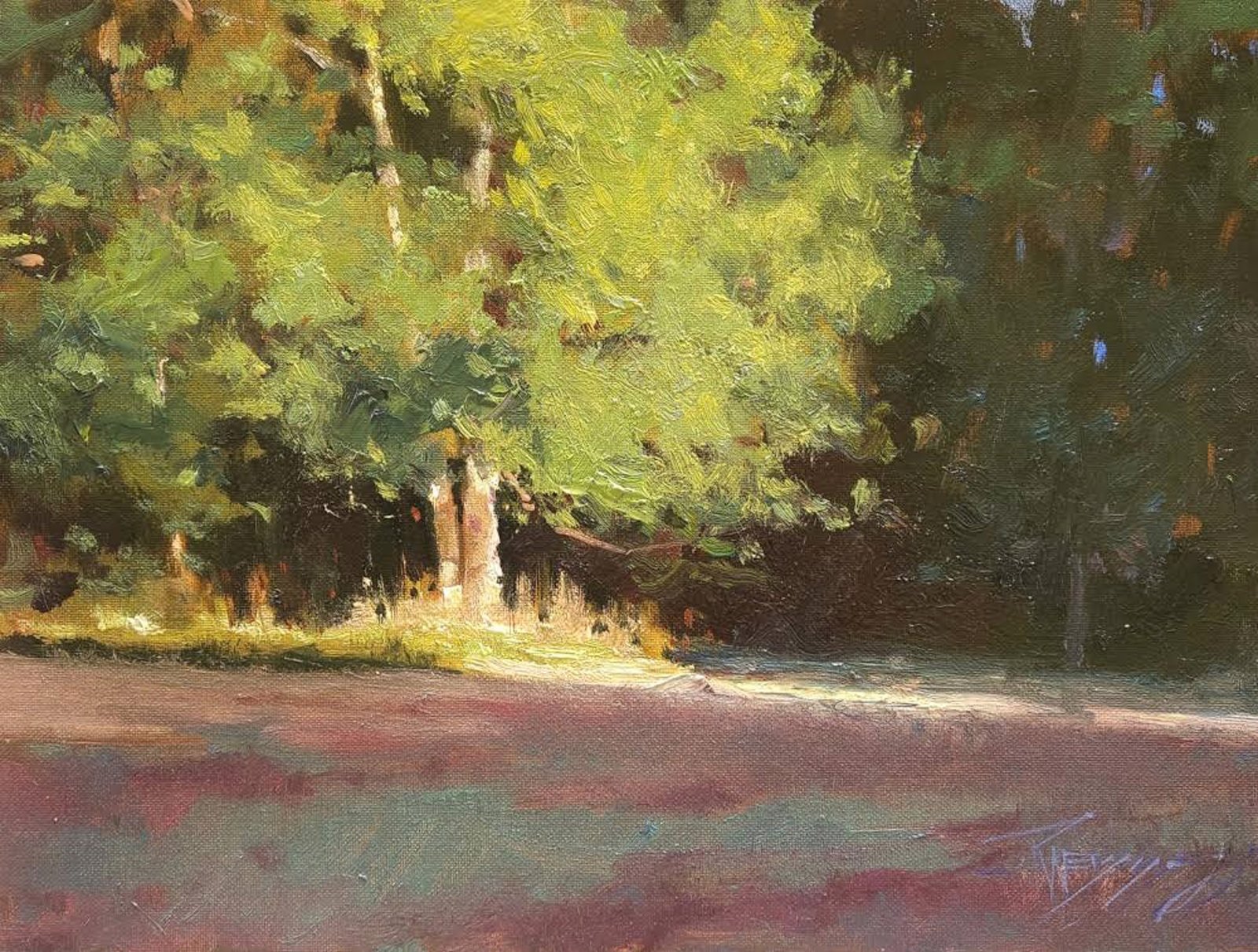 Tree Light by Robin Paul Weiss by Robin Weiss