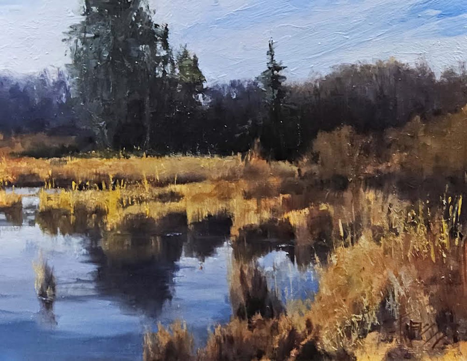 Washington Wetlands by Robin Paul Weiss by Robin Weiss