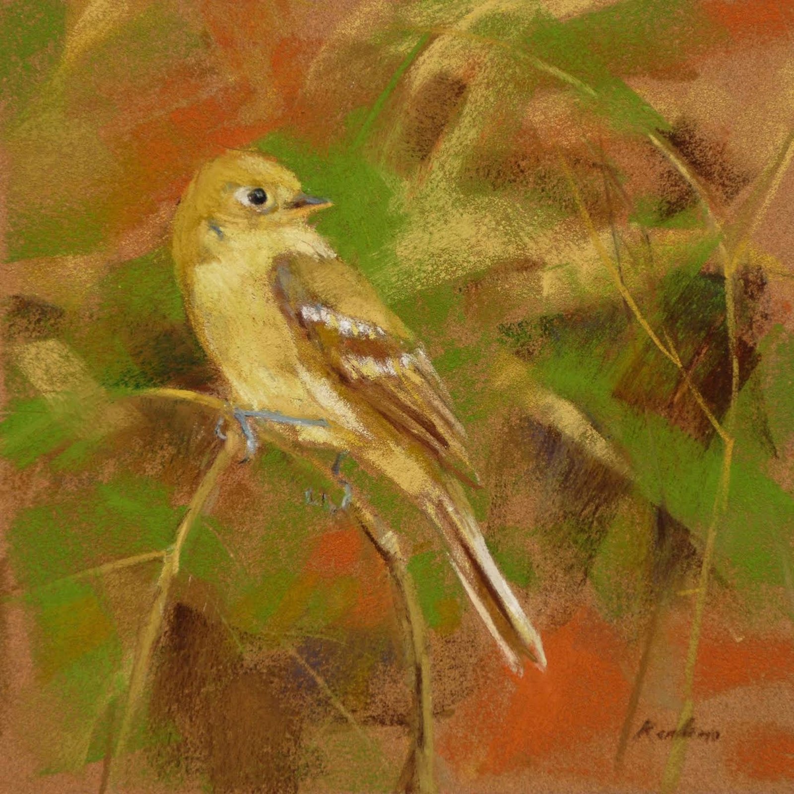 Pacific Slope Flycatcher, 2023 by Randena Walsh by Randena Walsh
