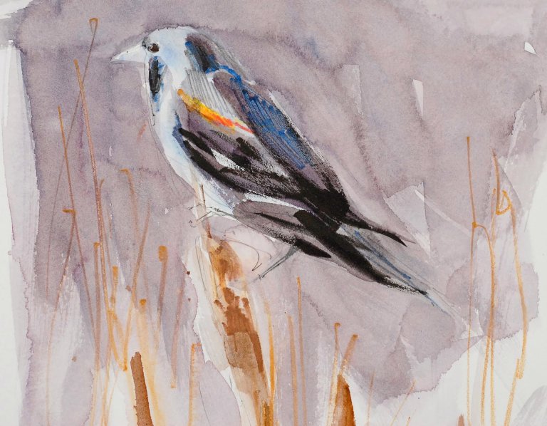 Red Winged Blackbird by Randena Walsh