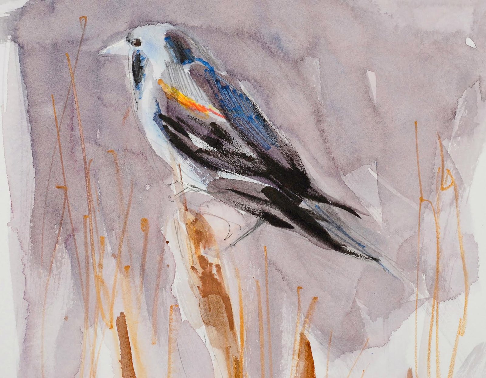 Red Winged Blackbird by Randena Walsh by Randena Walsh