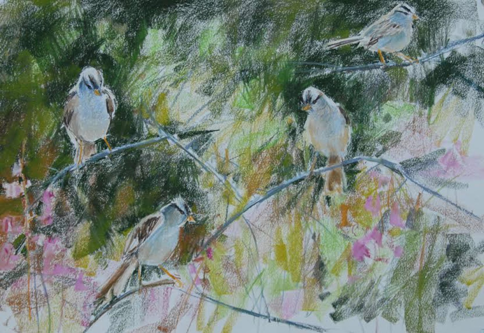 White Crowned Sparrows by Randena Walsh by Randena Walsh