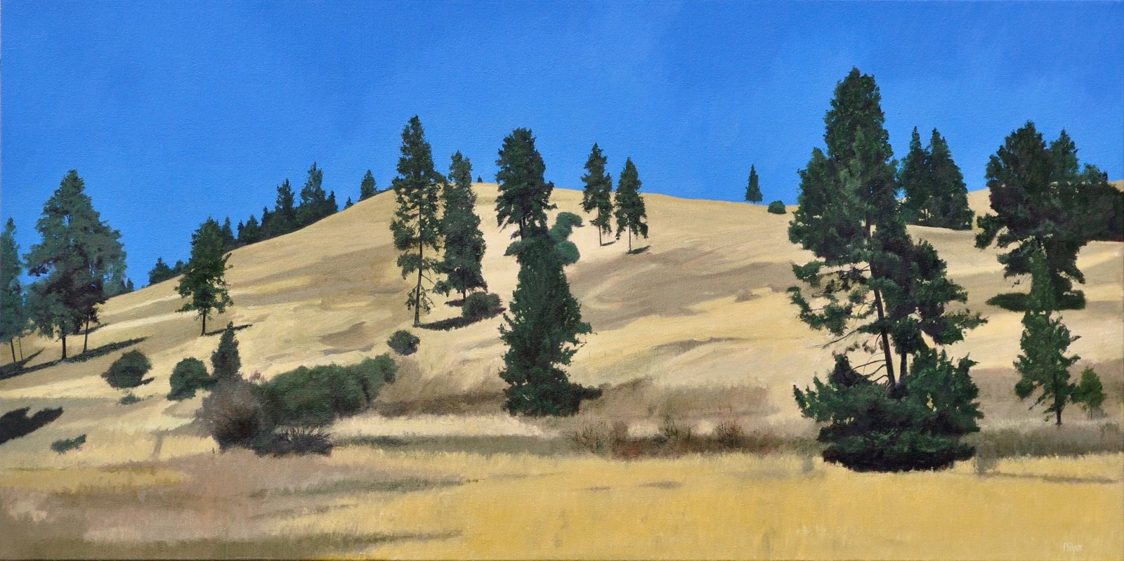 Solid Gold by Neal Philpott by Neal Philpott