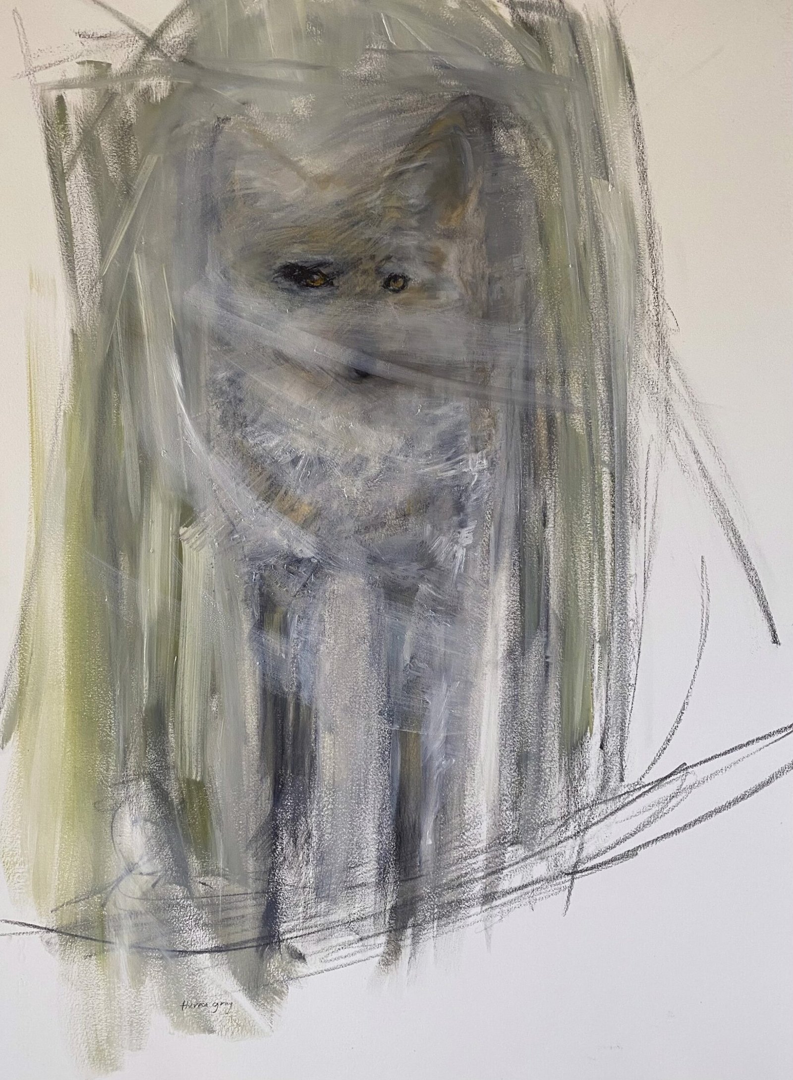 Glimpse | Coyote by Theresa Gray