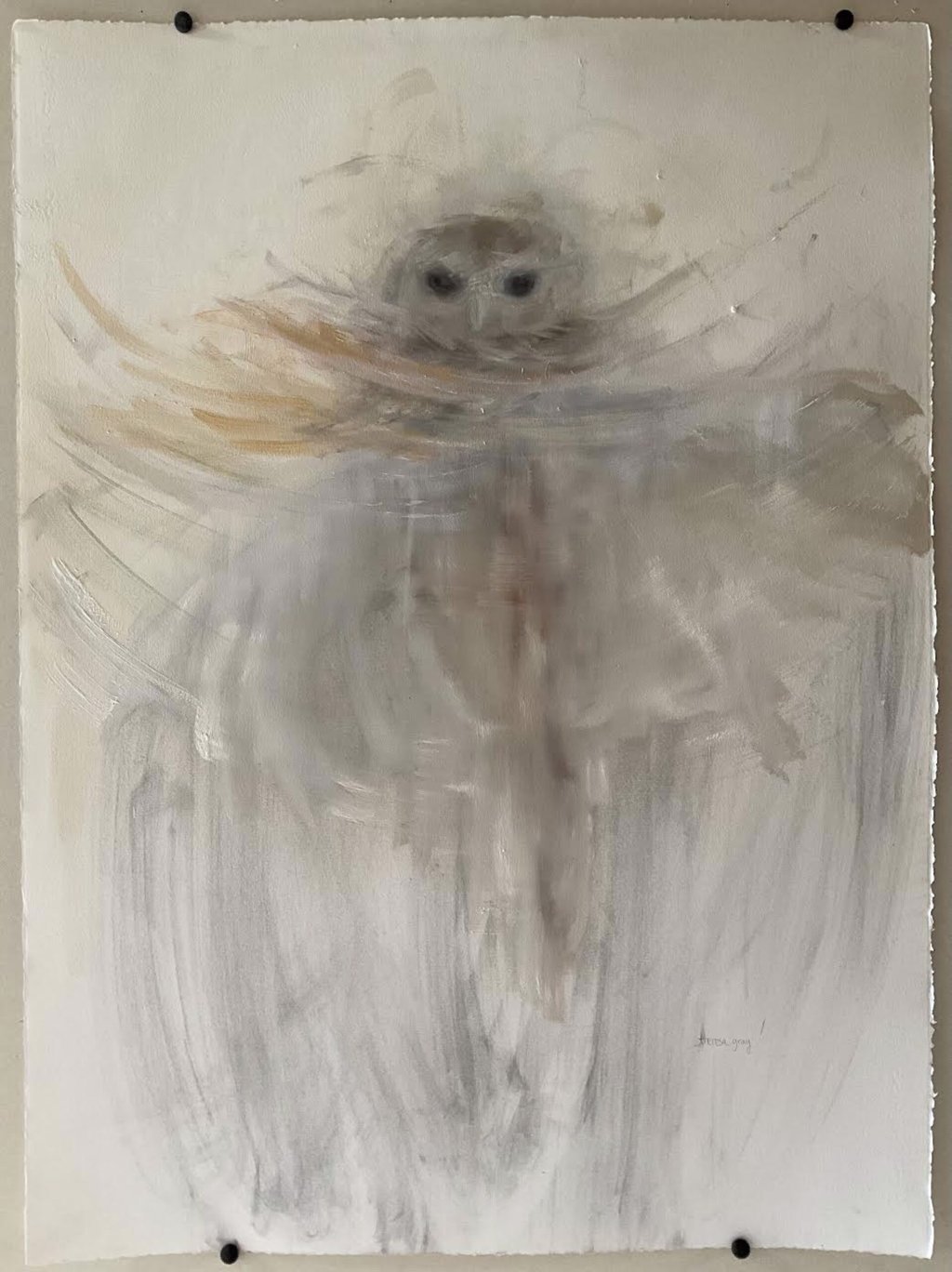 Glimpse | Owl || by Theresa Gray by Theresa Gray
