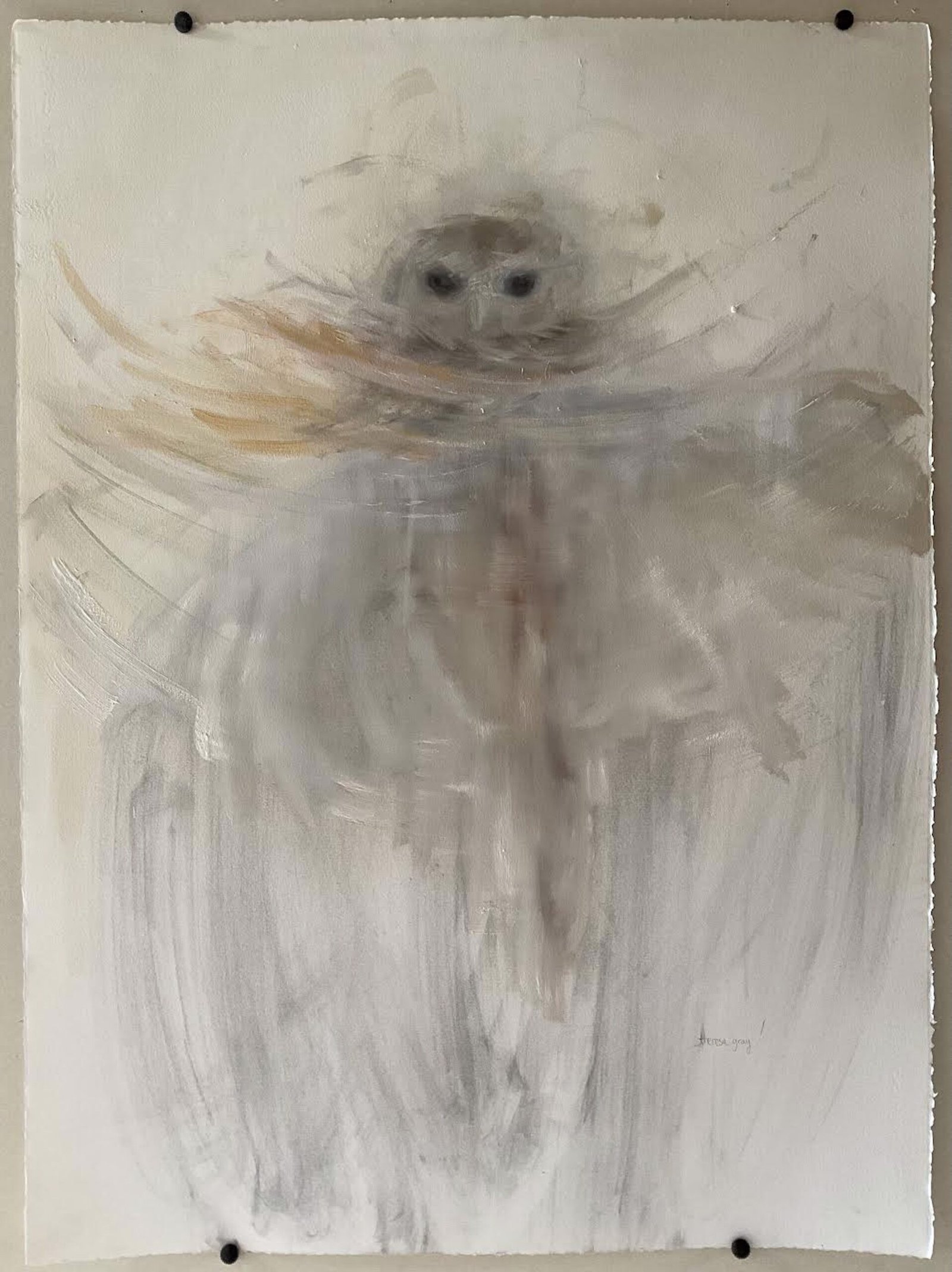 Glimpse | Owl || by Theresa Gray