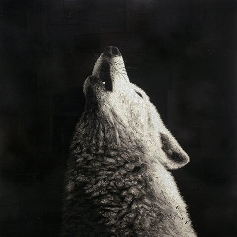 Vitality by Jay Kelly
