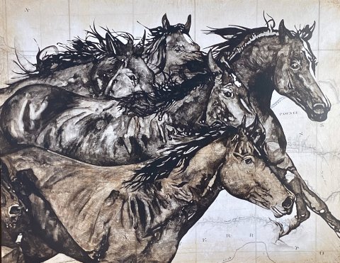 Wild Horses by Will Armstrong