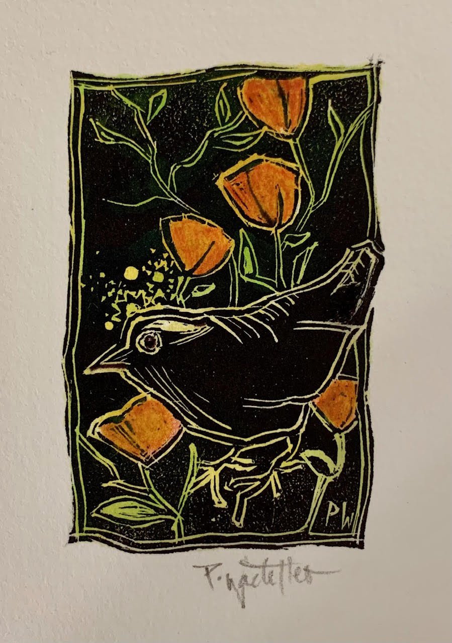 Winter Wren by Pamela Wachtler by Pamela Wachtler