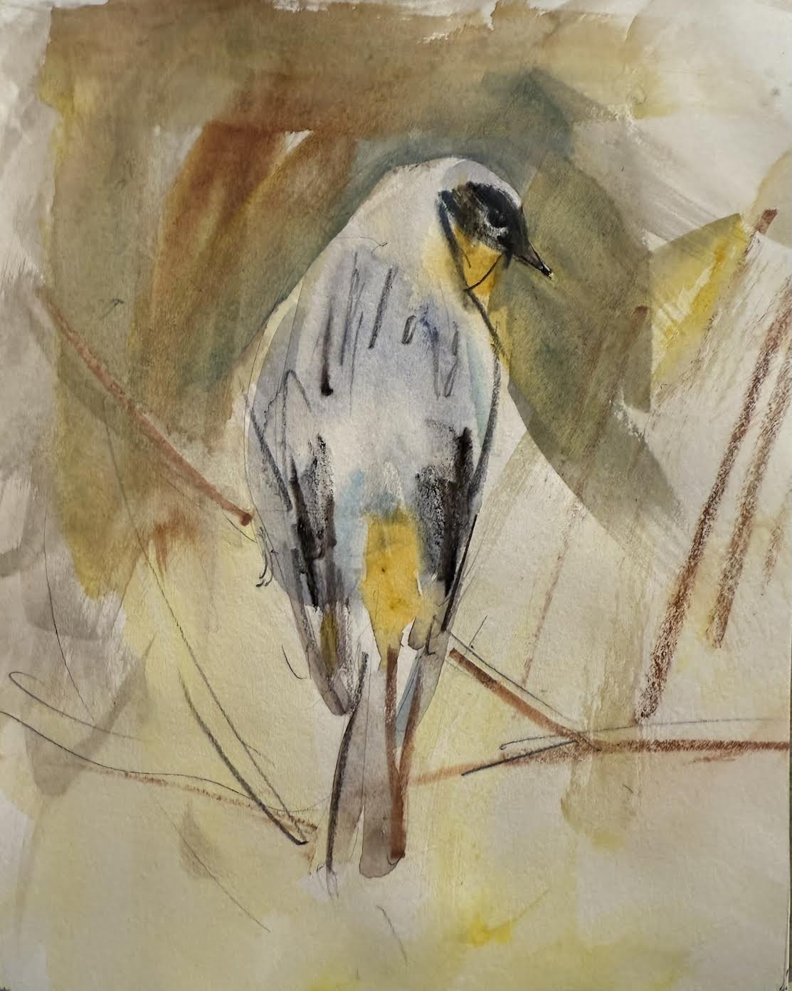 Yellow-Rumped Warbler by Randena Walsh by Randena Walsh